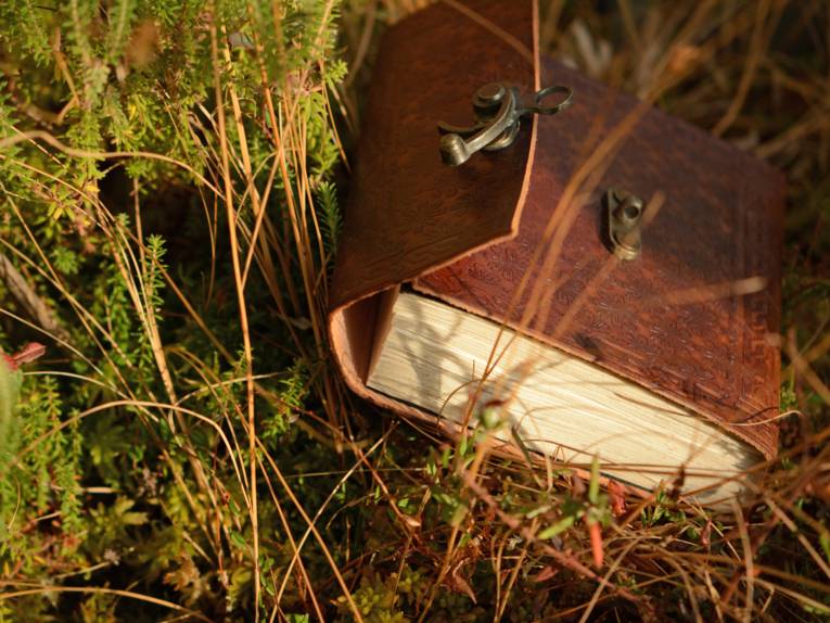 Ein Tagebuch in einer braune Lederhülle liegt imHeidegras